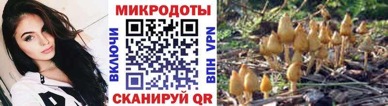 Псилоцибиновые грибы GOLDEN TEACHER  Курильск 